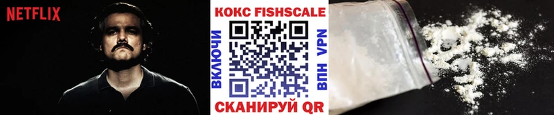 Купить Камешково Cocaine Fish Scale