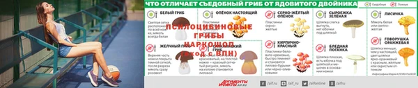 первитин Володарск