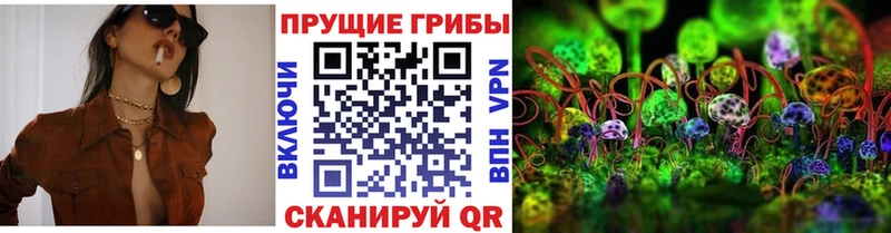 Купить закладки  Камешково  Галлюциногенные грибы Cubensis 